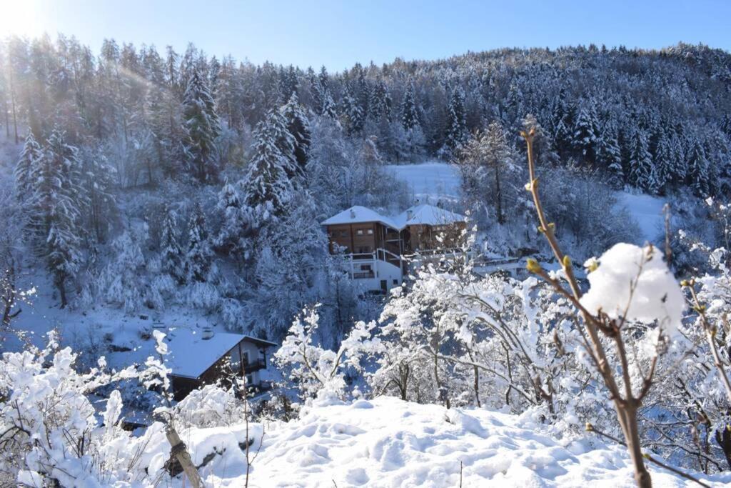 App Schlossblick - Wohnung Hammerwand 2 Umes Exteriér fotografie