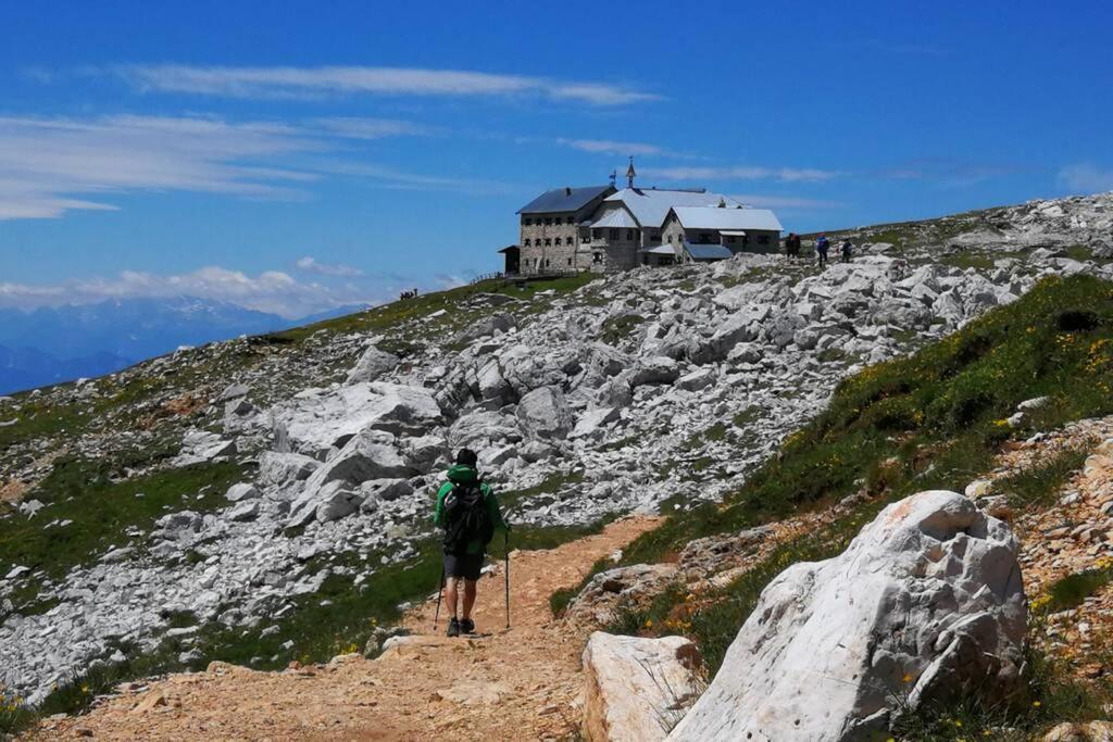 App Schlossblick - Wohnung Hammerwand 2 Umes Exteriér fotografie