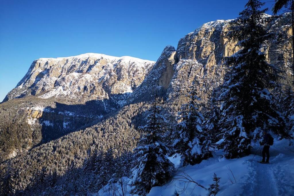 App Schlossblick - Wohnung Hammerwand 2 Umes Exteriér fotografie